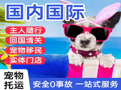 胶东航空物流国际宠物托运 【国